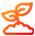 设施栽培