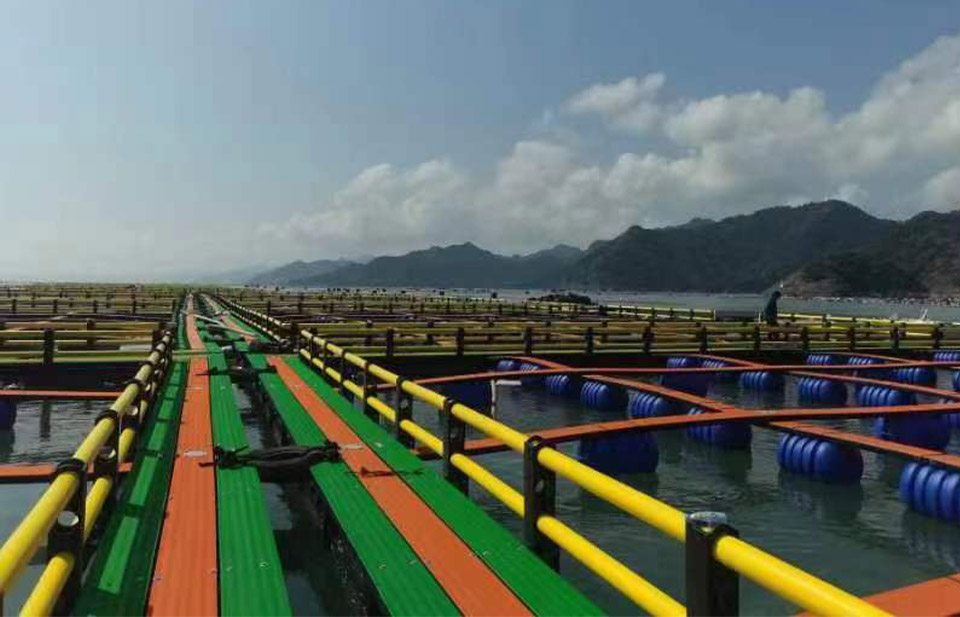 浮阀养殖系统